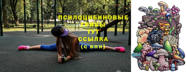мяу мяу мука Бородино