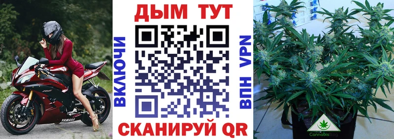 сколько стоит  kraken tor  Каннабис марихуана  Череповец 
